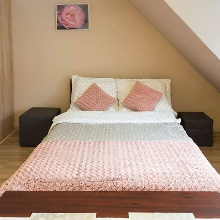 Проживание в семье Aksamit